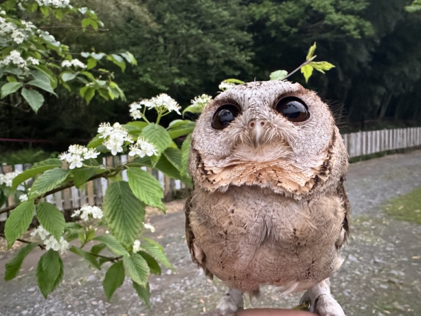 堀越キャンプ場の魅力を紹介！